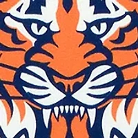 YouTheFan MLB Detroit Tigers 3D Stadium 6x19 Banner - Comerica Park