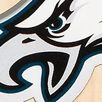 YouTheFan NFL Philadelphia Eagles 3D Stadium 6x19 Banner - Lincoln Financial Field
