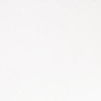 NFL Arizona Cardinals Rocks Glass Set