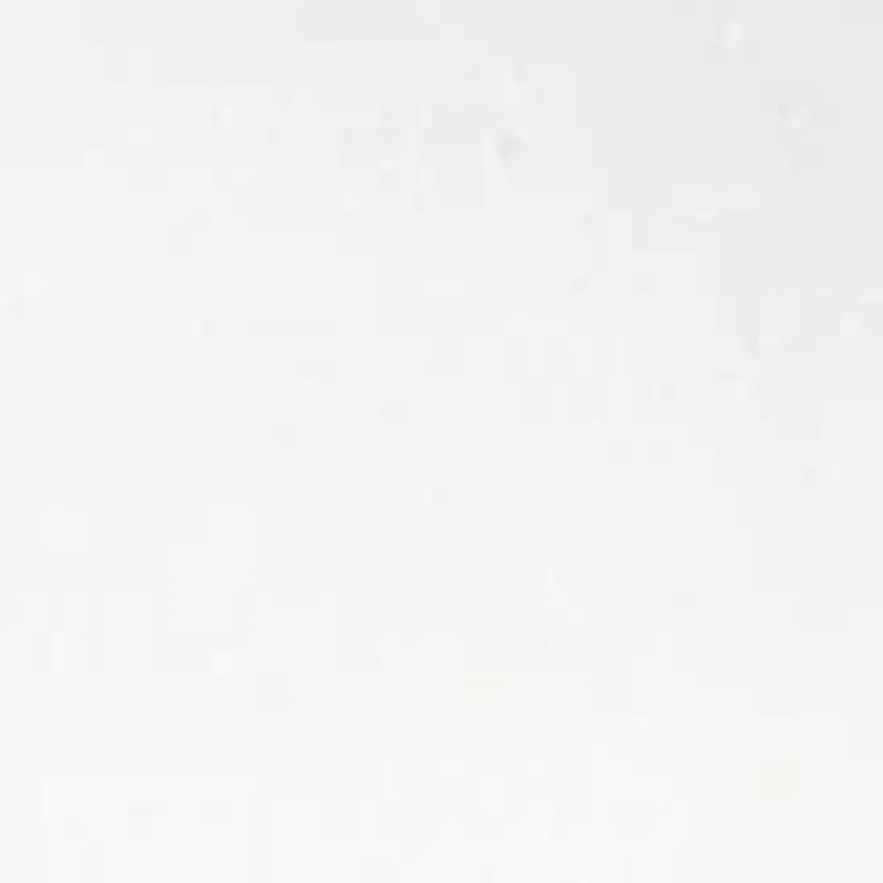 NFL Jacksonville Jaguars Rocks Glass Set