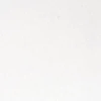 NFL Jacksonville Jaguars Rocks Glass Set