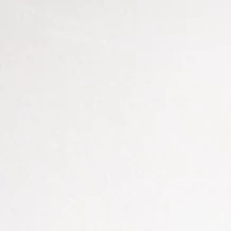 NBA Charlotte Hornets Set of 2 Rocks Glass Set