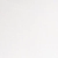 NBA Charlotte Hornets Set of 2 Rocks Glass Set