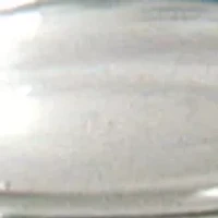  NCAA Florida State Seminoles Set of 2 Rocks Glasses 