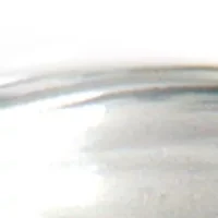 NCAA Arkansas Razorbacks Set of 2 Rocks Glasses 