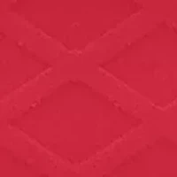 NHL Washington Capitals 15 Ounce Jump Mug