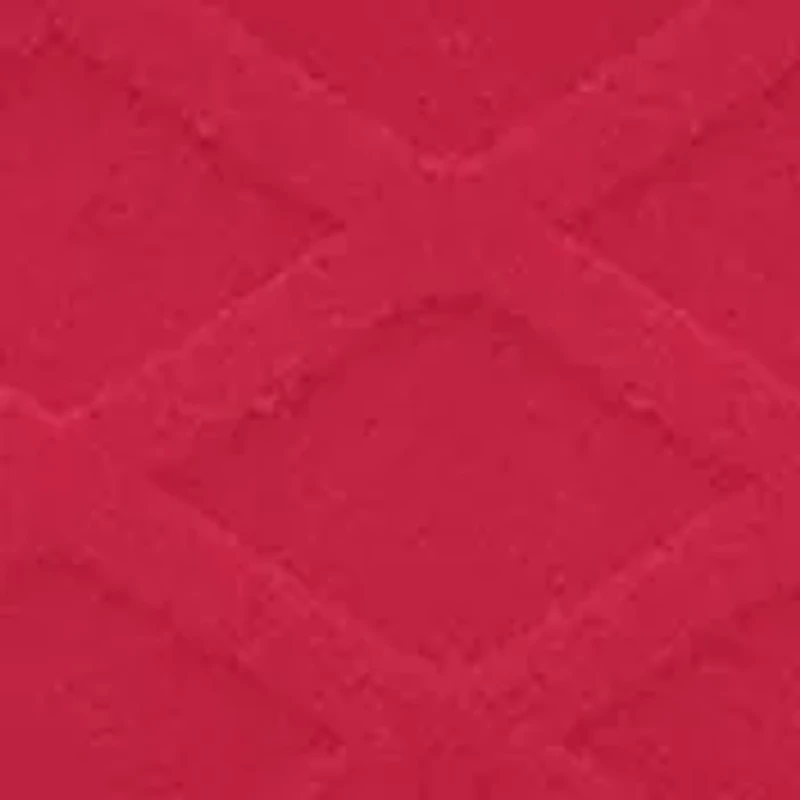 NCAA Wisconsin Badgers Jump Mug