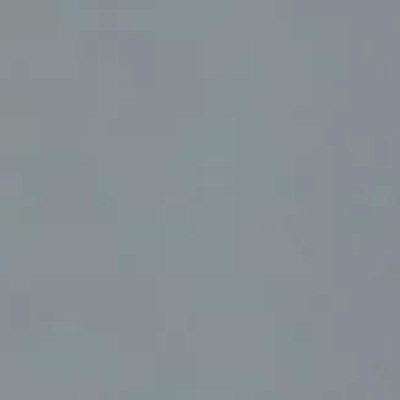 NBA Charlotte Hornets Jump Mug