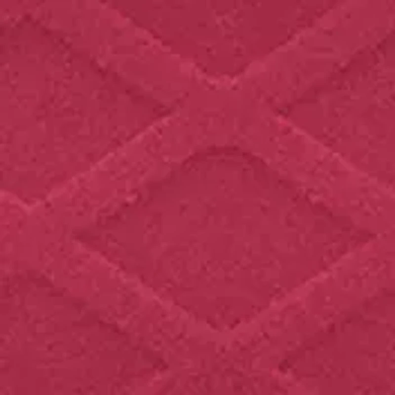 NCAA Washington State Cougars Jump Mug