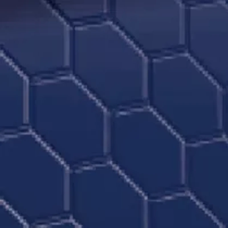 NHL Tampa Bay Lightning 6 Ounce Stainless Steel Flask