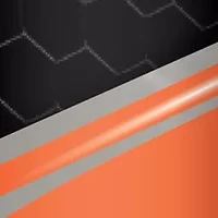 NFL Cincinnati Bengals 6 Ounce Stainless Steel Flask