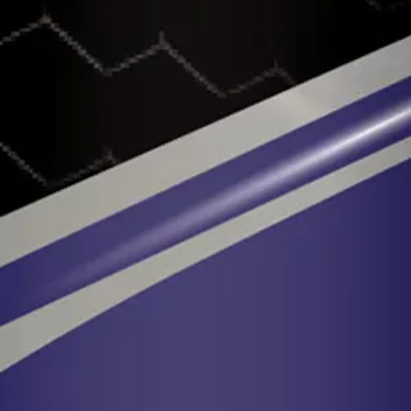 NFL Baltimore Ravens 6 Ounce Stainless Steel Flask