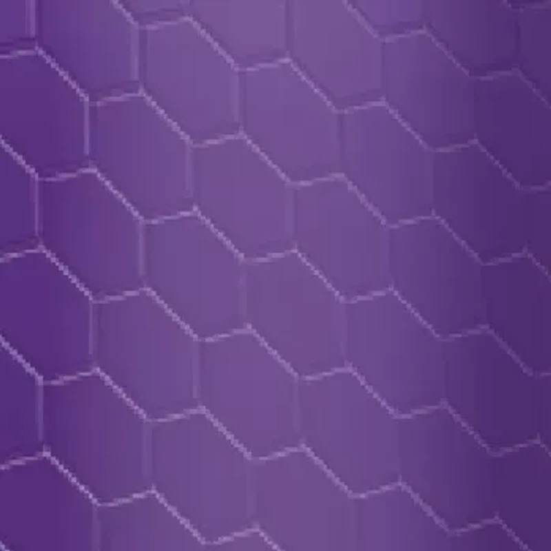 NBA Sacramento Kings 6 Ounce Stainless Steel Flask