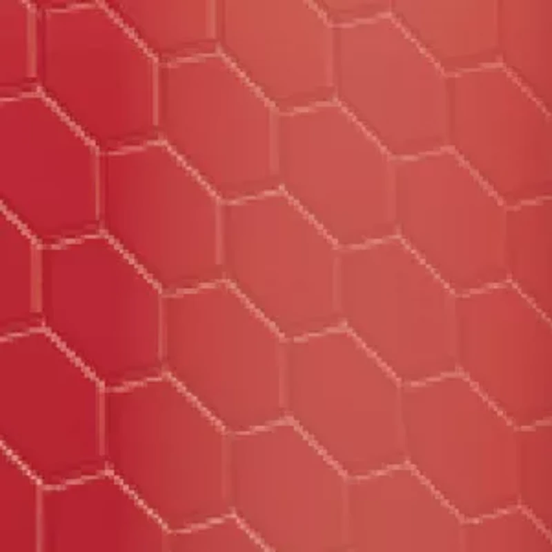 NBA Toronto Raptors 6 Ounce Stainless Steel Flask