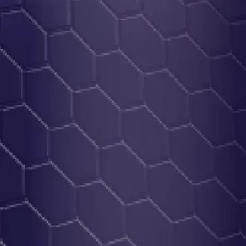 NBA Charlotte Hornets 6 Ounce Stainless Steel Flask