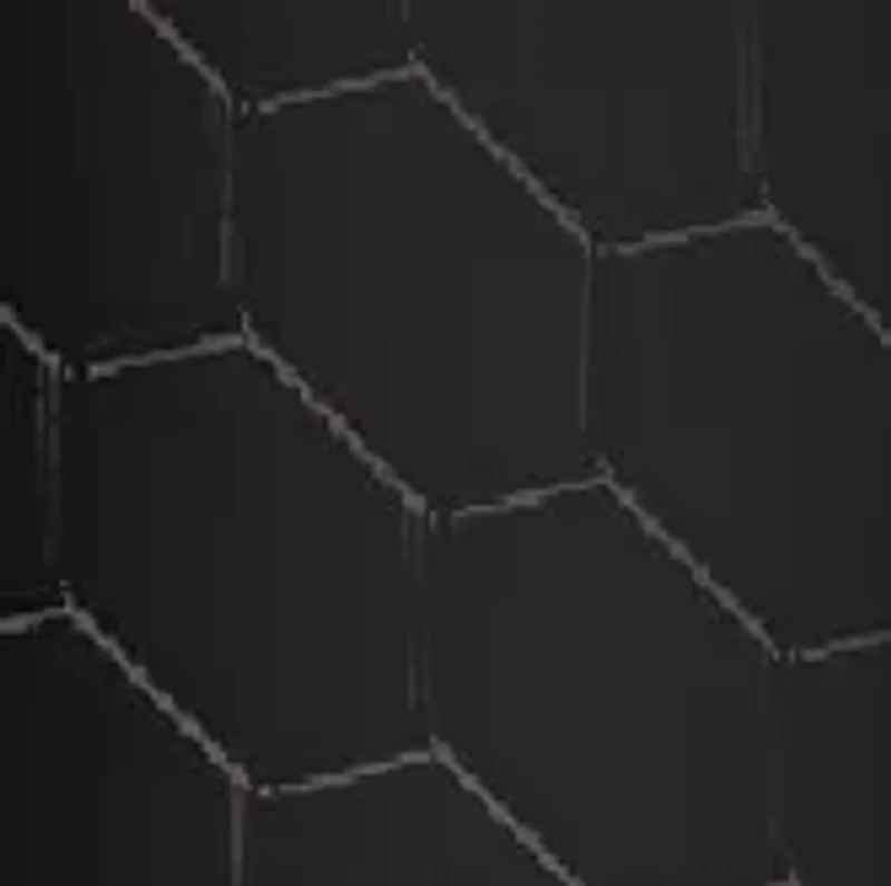 NCAA South Carolina Gamecocks 6 Ounce Stainless Steel Flask 