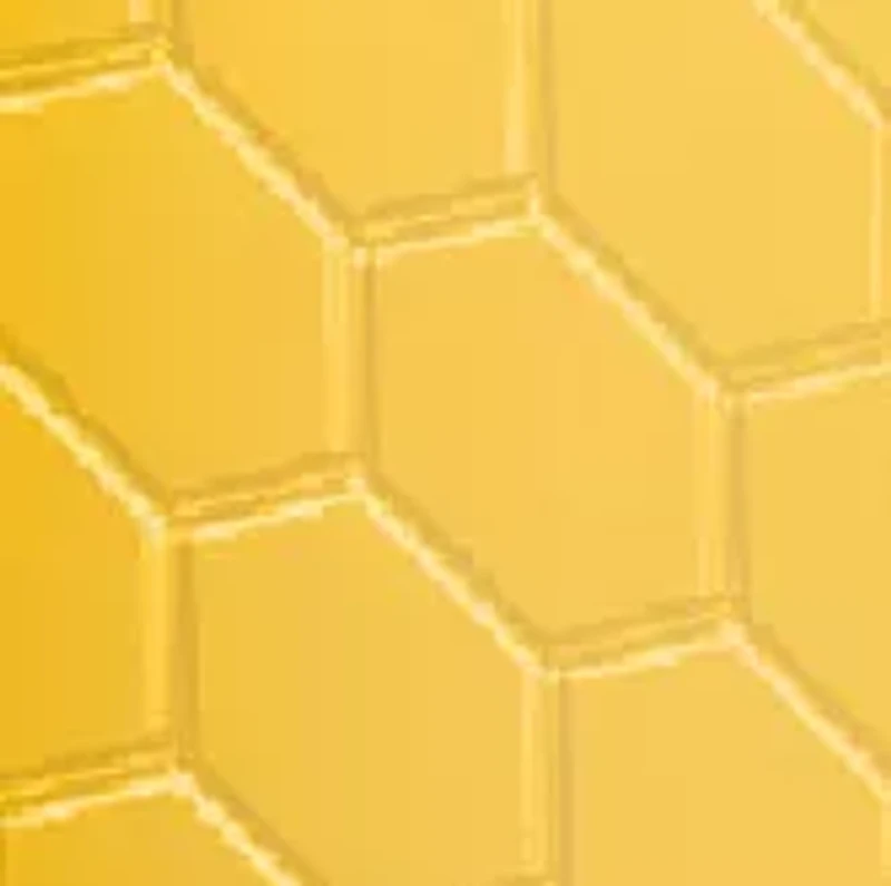  NCAA Wyoming Cowboys 6 Ounce Stainless Steel Flask 