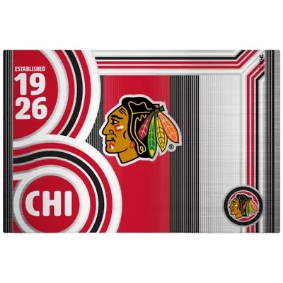 NHL Chicago Blackhawks 24oz Stainless Steel Water Bottle