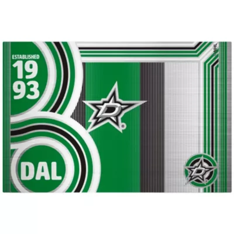 NHL Dallas Stars 24oz Stainless Steel Water Bottle