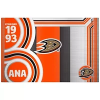 NHL Anaheim Ducks 24oz Stainless Steel Water Bottle