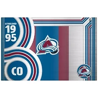 NHL Colorado Avalanche 24oz Stainless Steel Water Bottle