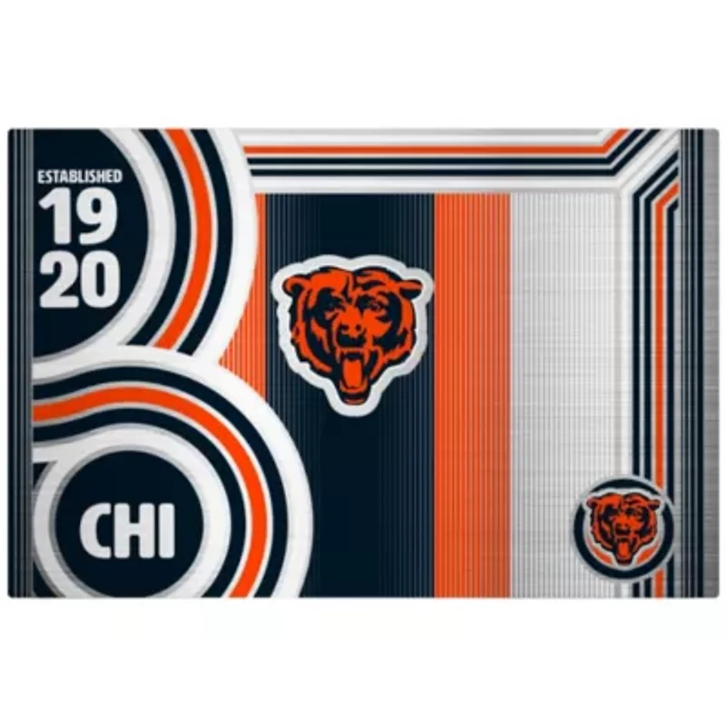 NFL Chicago Bears 24oz Stainless Steel Water Bottle