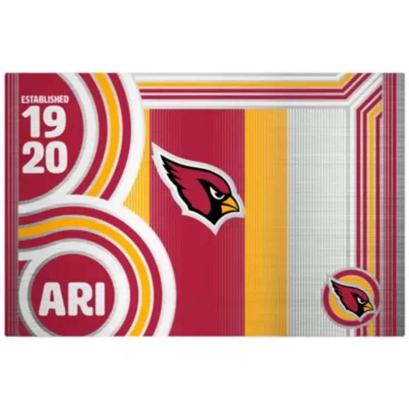 NFL Arizona Cardinals 24oz Stainless Steel Water Bottle