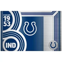 NFL Indianapolis Colts 24oz Stainless Steel Water Bottle