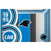 NFL Carolina Panthers 24oz Stainless Steel Water Bottle