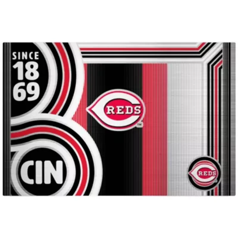 MLB Cincinnati Reds 24oz Stainless Steel Water Bottle