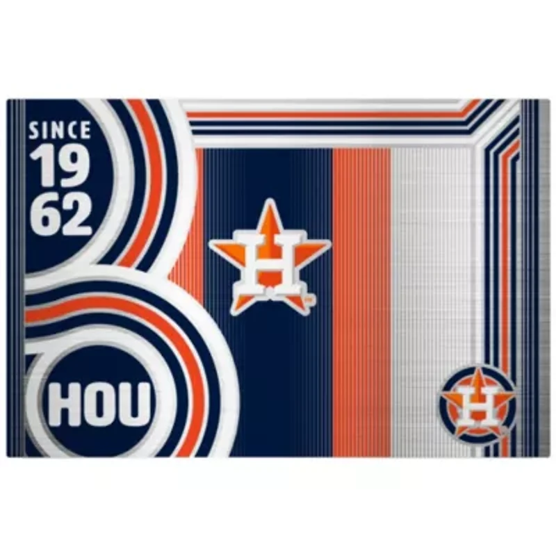 MLB Houston Astros 24oz Stainless Steel Water Bottle