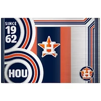 MLB Houston Astros 24oz Stainless Steel Water Bottle
