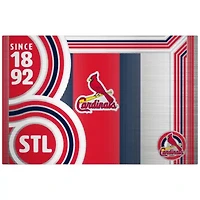 MLB St. Louis Cardinals 24oz Stainless Steel Water Bottle