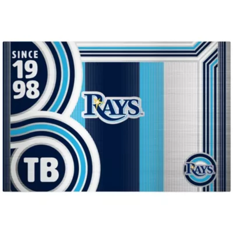 MLB Tampa Bay Rays 24oz Stainless Steel Water Bottle