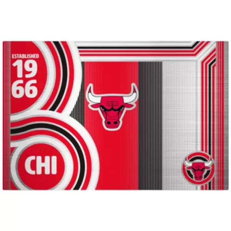 NBA Chicago Bulls 24oz Stainless Steel Water Bottle