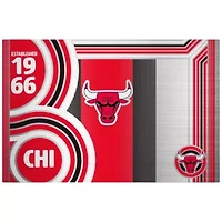 NBA Chicago Bulls 24oz Stainless Steel Water Bottle