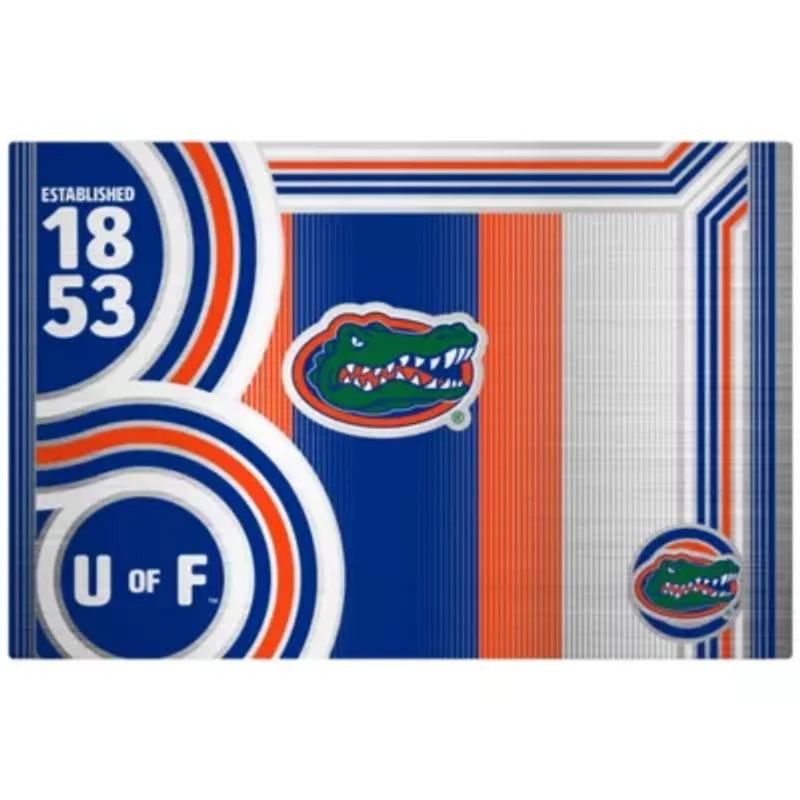 NCAA Florida Gators 24oz Stainless Steel Water Bottle