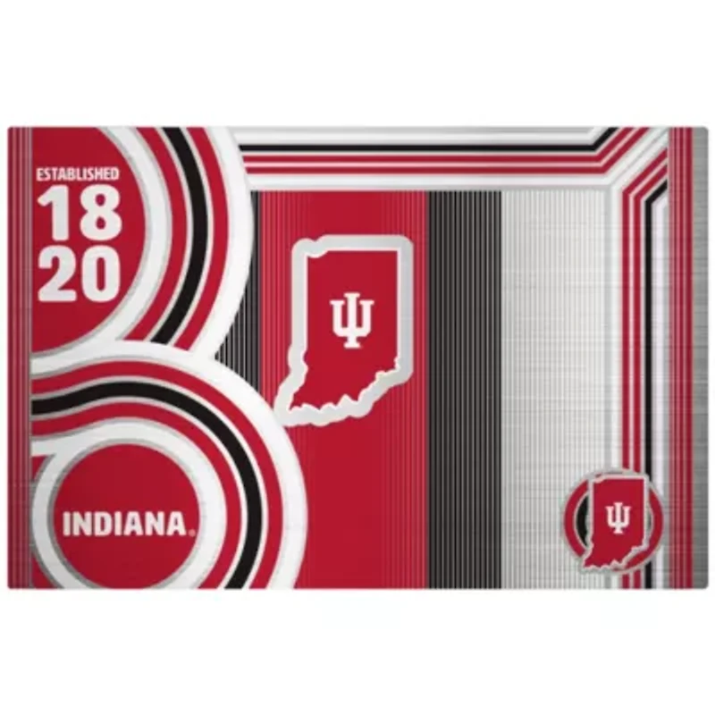 NCAA Indiana Hoosiers 24oz Stainless Steel Water Bottle