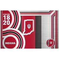 NCAA Indiana Hoosiers 24oz Stainless Steel Water Bottle