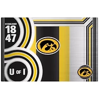 NCAA Iowa Hawkeyes 24oz Stainless Steel Water Bottle