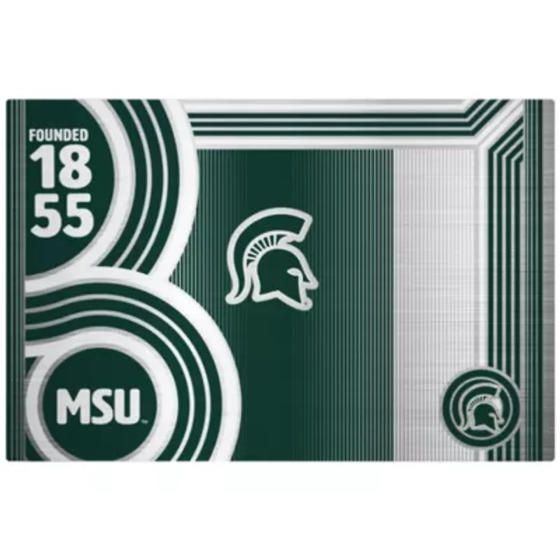 NCAA Michigan State Spartans 24oz Stainless Steel Water Bottle