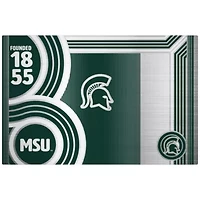 NCAA Michigan State Spartans 24oz Stainless Steel Water Bottle