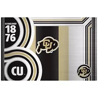 NCAA Colorado Buffaloes 24oz Stainless Steel Water Bottle