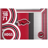 NCAA Arkansas Razorbacks 24oz Stainless Steel Water Bottle