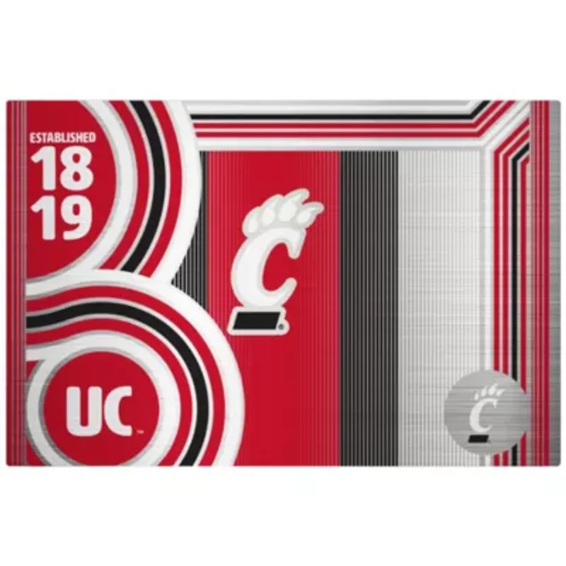 NCAA Cincinnati Bearcats 24oz Stainless Steel Water Bottle