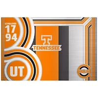NCAA Tennessee Volunteers 24oz Stainless Steel Water Bottle