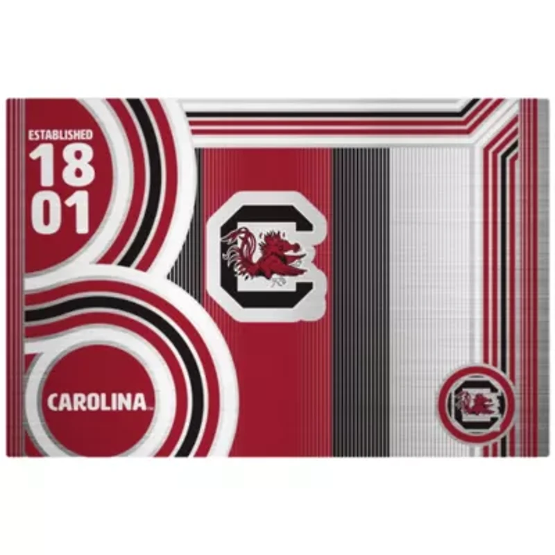 NCAA South Carolina Gamecocks 24oz Stainless Steel Water Bottle