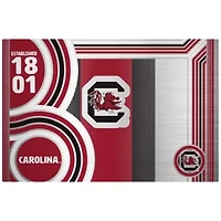 NCAA South Carolina Gamecocks 24oz Stainless Steel Water Bottle