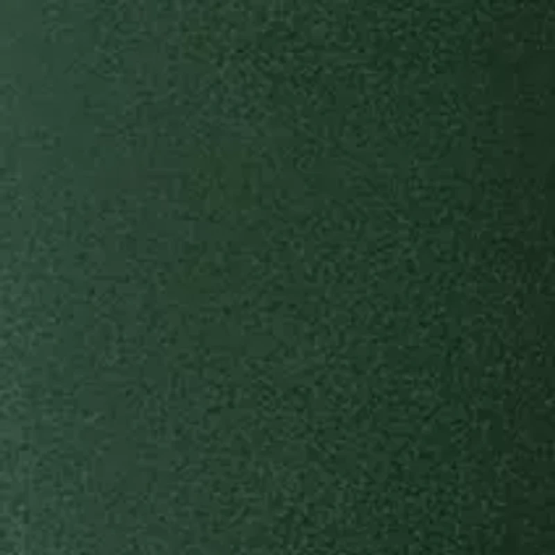 NCAA USF Bulls 24 Ounce Team Color Draft Tumbler