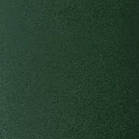 NCAA USF Bulls 24 Ounce Team Color Draft Tumbler